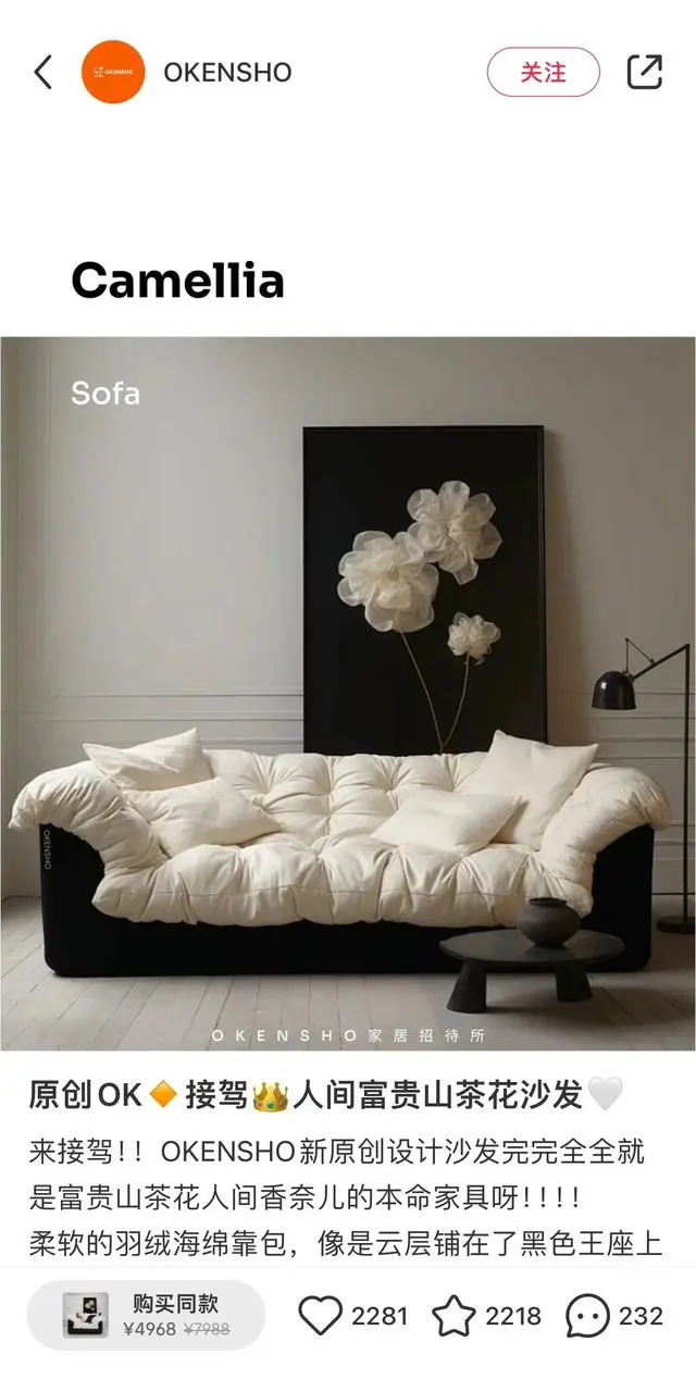 家居家具品牌买手涌入小红书
